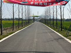 -西京湾花海