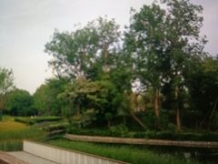 -渭滨公园