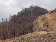 -缙云山景区