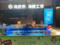 -海底捞火锅(长宁路龙之梦店)