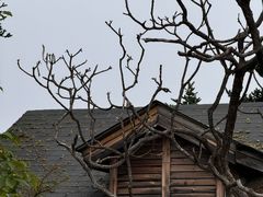 -西岭雪山大飞水景区