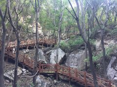 -大岭沟猕猴桃谷风景区