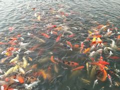 -蒙自源小锅米线(金佰利店)