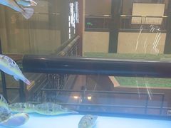 -肆月河豚·淮扬菜·湘菜(华天店)