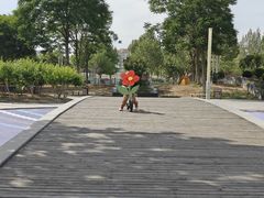 -廊坊文化艺术中心