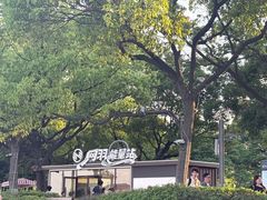 -金鸡湖景区