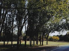 -上海佘山国家森林公园西佘山园