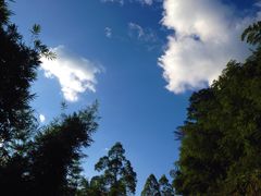 -广州市石门国家森林公园