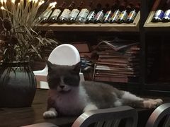 -MIKAKU(万达广场上海宝山店)