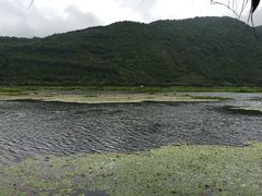 -腾冲北海湿地