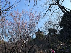 -无锡梅园公园