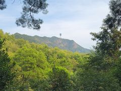 -深圳仙湖植物园