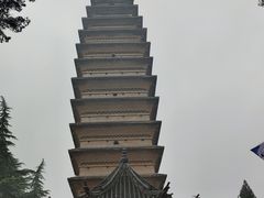 -洛阳白马寺