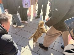 -红螺寺