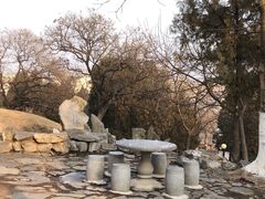 -甘井子公园