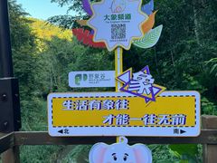 -野象谷景区