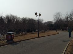 -永定河休闲森林公园