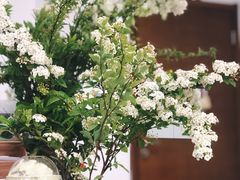 -围裙妈妈(临平店)