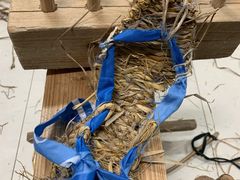 -全国青少年井冈山革命传统教育基地