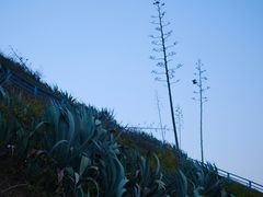 -厦门湾·白塘湾火山公园