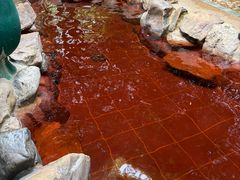 -森波拉火山温泉