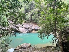 -广州白江湖森林公园