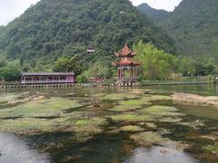 -靖西鹅泉风景区