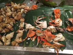 -海口绿发希尔顿酒店-田园汇自助餐·三文鱼·海鲜