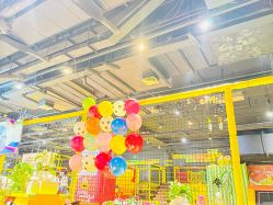 -蹦蹦跳跳(新奥购物中心店)