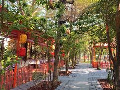-陶缘一号·四季缘·老字号顺德菜·户外婚礼家宴(西滘店)