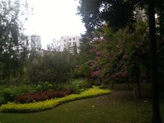 -晓港公园