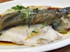 -眼镜味道(德才店)