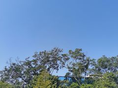 -来回·咖啡(钟村咖啡豆店)