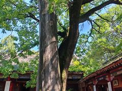 -少华山国家森林公园