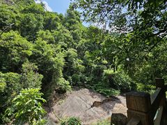 -广州白江湖森林公园