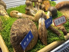 -束河人家(南锣鼓巷店)