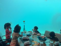 -海棠湾洲际-涛·海底餐厅·美人鱼·自助餐·海底隧道