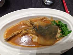 -新光酒家·河豚·海鲜·蟹料理(浦东店)