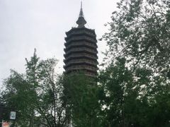 -西海子公园