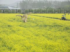 -兰陵国家农业公园