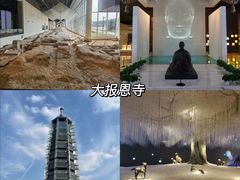 -南京博物院