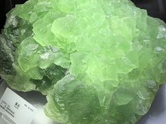 -湖南省地质博物馆