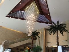 -常州环球恐龙城维景国际大酒店
