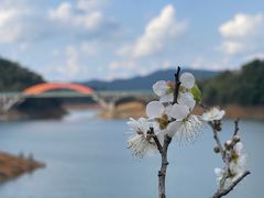 -广州市流溪河国家森林公园