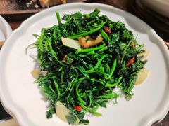 清炒版纳甜菜-茴香熙楼(翠湖店)