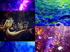 -海合安天津极地海洋公园