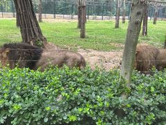 -秦皇岛野生动物园