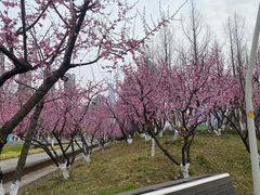 -南京眼步行桥