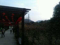 -白马涧龙池景区