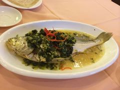 雪菜大黄鱼-上海老饭店(北京分店)